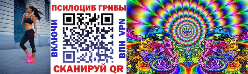Галлюциногенные грибы Psilocybine cubensis  купить закладку  Благодарный 